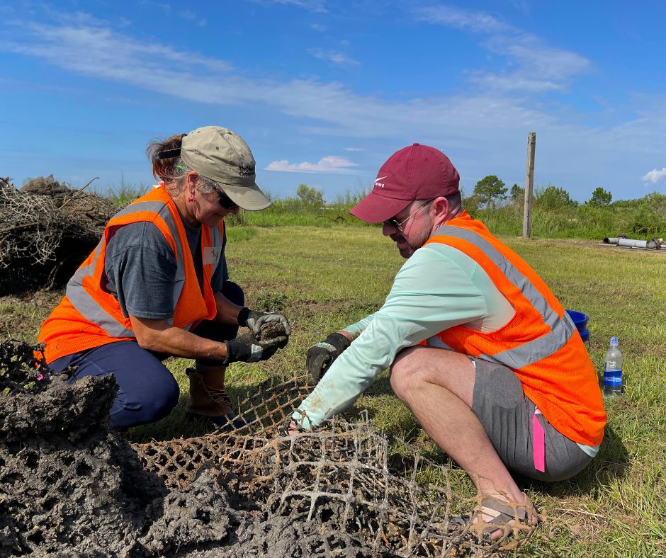 Local conservation organizations and volunteers work to salvage live oysters from artificial oyster reefs in Bayou La Batre.